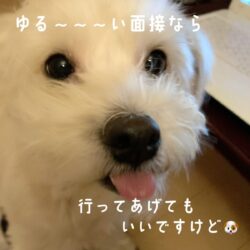 ピックス見学会にお越し下さい＾＾