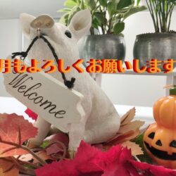 気がつけばもう10月🎃