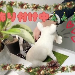 スタッフって何してるの？？