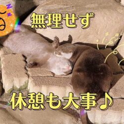 無理しすぎない事が稼ぐ秘訣(-_-)zzz