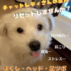 私が担当してます( ´ ▽ ` )b