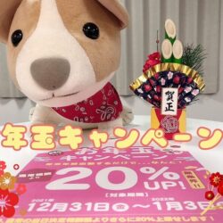 【12月30日まで募集中】報酬20％UP！お年玉キャンペーン🎍
