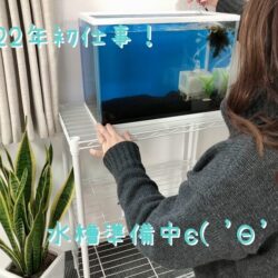 あけましておめでとうございます🌄