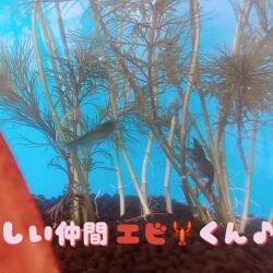 2022年どこよりも働きやすい環境を目指します🎌