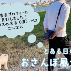 ピックスの雰囲気を伝えたい…！！