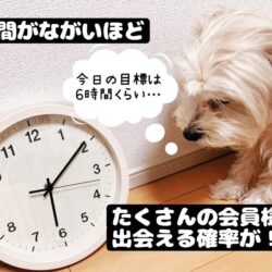 空いている時間を有効活用【稼ぐコツ！】