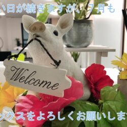 7月もどうぞよろしくお願いいたします☀