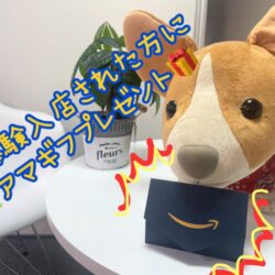 体験特典スタートしました(ﾟдﾟ)！