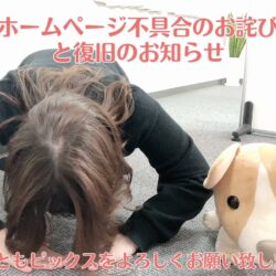 【お詫び】ホームページが表示されない不具合について