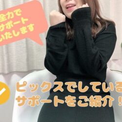 ピックスのサポートについて