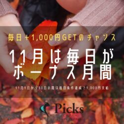 【告知】11月は毎日ボーナスゲットのチャンス🍃