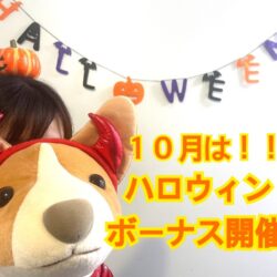 10月はハロウィン🎃【ボーナス告知】