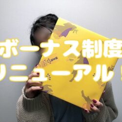 【朗報】12月より各種ボーナスが新しくなります✿