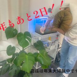 今年もあと2日ですね(..)！