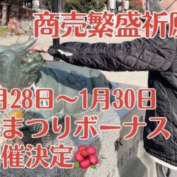 椿まつり今年は1月28日～1月30日開催✿