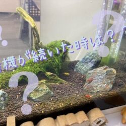 リラックスしてください😌