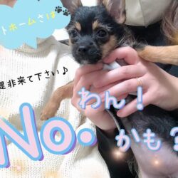 改めまして、ピックス松山店です🏠