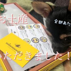 面接時にご持参頂くものについて🐶