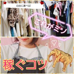 チャットで稼ぐぞう！！🐘☆