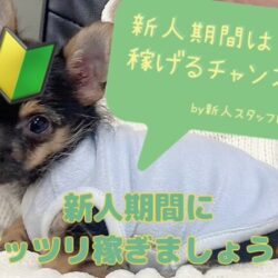 新人期間中にガッツリ稼いじゃいましょう🐾