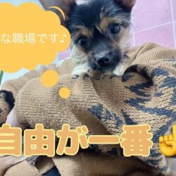 時間・場所・働き方で自由度の高いお仕事です💻