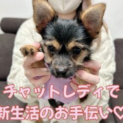 新生活に向けてチャレンジしてみませんか？🐣