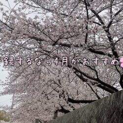 チャットレディを始めるなら4月がお勧めです🌸