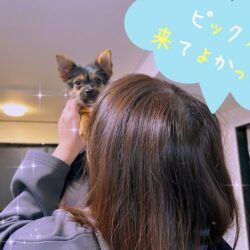 ピックスの魅力5選✋