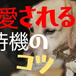 【チャットレディ】引き寄せる待機とは