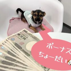 ピックスのボーナスをご紹介☆彡