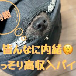 身バレしないために🤫