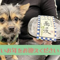 今年もお世話になりました🌄