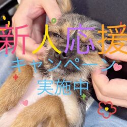 寒さも吹き飛ばす！新人応援キャンペーン実施中です☃