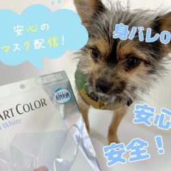 マスクのチャットはメリットがいっぱい💻️