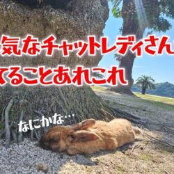 人気チャットレディの秘訣