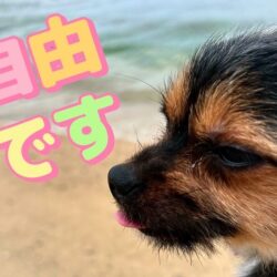 シフトは自由です🗽