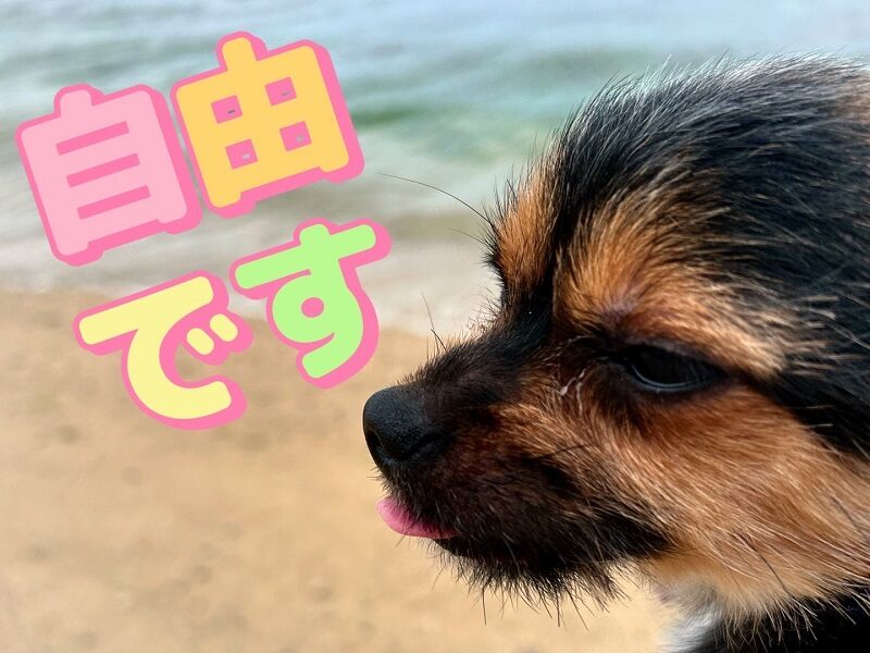 シフトは自由です🗽