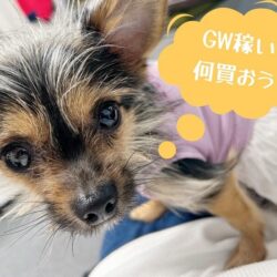 日払いバイトを探してる方へ💰️