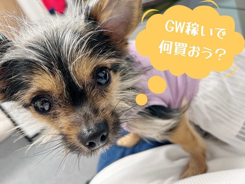 日払いバイトを探してる方へ💰️