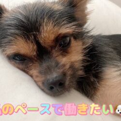 自由出勤って本当に自由？🗽