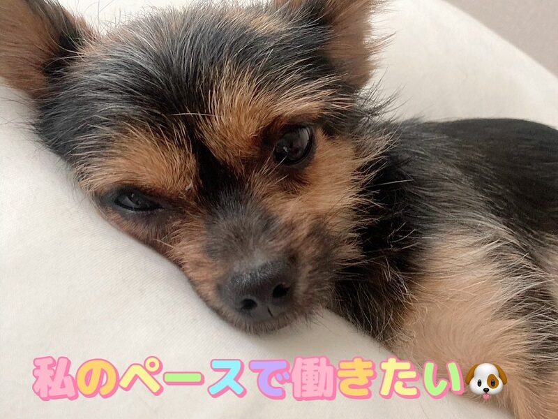 自由出勤って本当に自由?🗽
