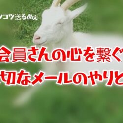 チャットレディにとって「メール」は心をつなぐ大切なツール