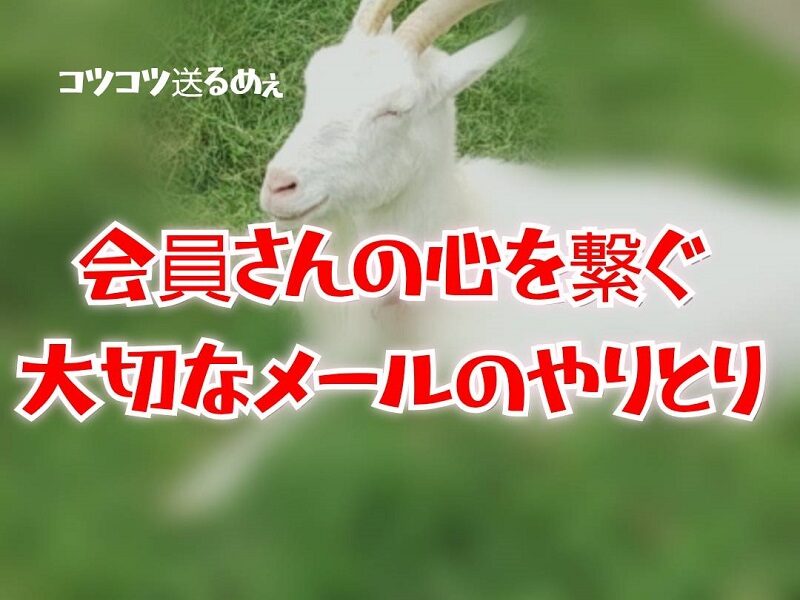 チャットレディにとって「メール」は心をつなぐ大切なツール