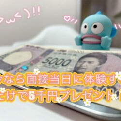 【体験するだけ】ピックスのお得な新人特典をご紹介✨