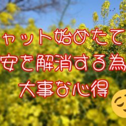 【新人チャットレディさんへ】始めたばかりのあなたへ伝えたいこと🌸