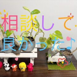 今日もお疲れ様です♡♡