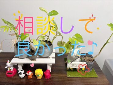 今日もお疲れ様です♡♡