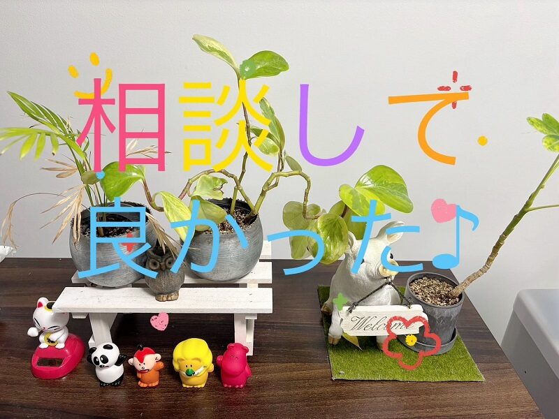 今日もお疲れ様です♡♡