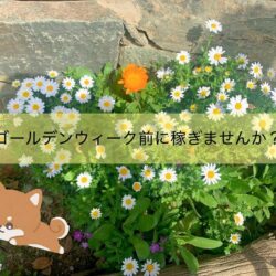 ゴールデンウィーク楽しみですね✈✨