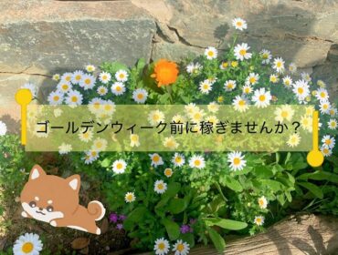 ゴールデンウィーク楽しみですね✈✨